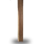 Madera Preciosa Parota