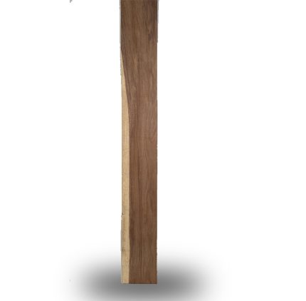 Madera Preciosa Parota